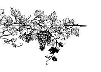 השיבה הביתה: ביקור ביקב בית אל