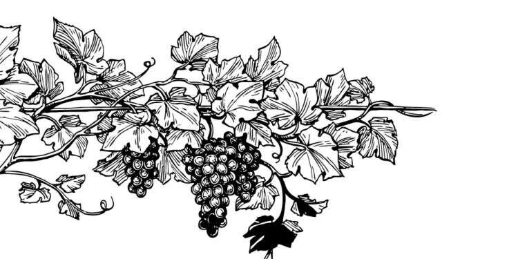 השיבה הביתה: ביקור ביקב בית אל