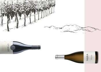 תוצרת הארץ: שתי המלצות ליינות שלא כדאי לכם לפספס