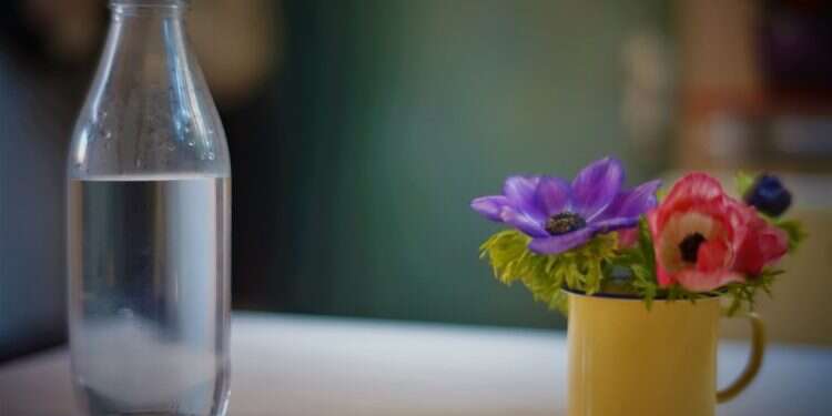 חג אחר: כל מה שאתה צריך זה אהבה