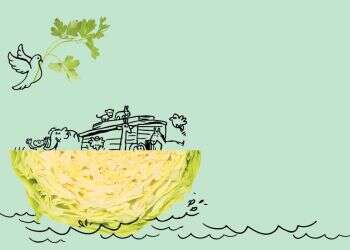 כשר פרווה: הצמחונות היא לא רק "חזון הצמחונות והשלום" של הרב קוק