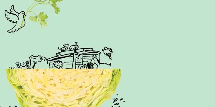 כשר פרווה: הצמחונות היא לא רק "חזון הצמחונות והשלום" של הרב קוק