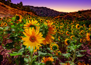 חושבים מה לעשות השבוע? תפסיקו להתלבט