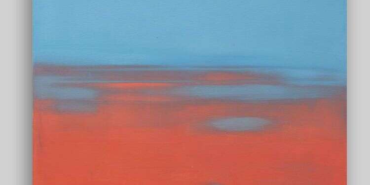 אופיר שביט,