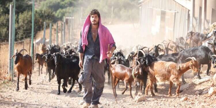 הלל גרדי, מטפל באמצעות עיזים, מביא את הטבע למאסטר שף