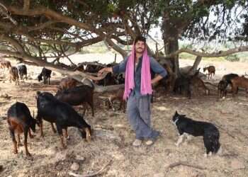 רועה הצאן שכבש את מאסטר שף: "בחלק מהדברים שבי משתמשים כגימיק, אבל לא רק"