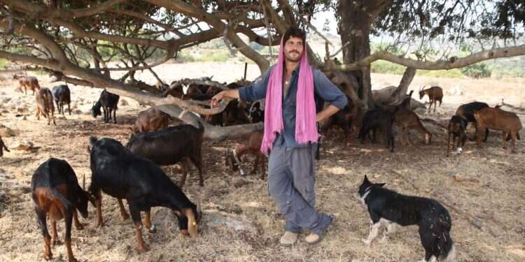 הלל גרדי. צילום: דוד כהן, סוכנות ג'יני רועה הצאן שכבש את מאסטר שף: "בחלק מהדברים שבי משתמשים כגימיק, אבל לא רק"