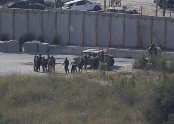 בלי מבצע יחצ: את "גוב האריות" צריך למגר בשקט