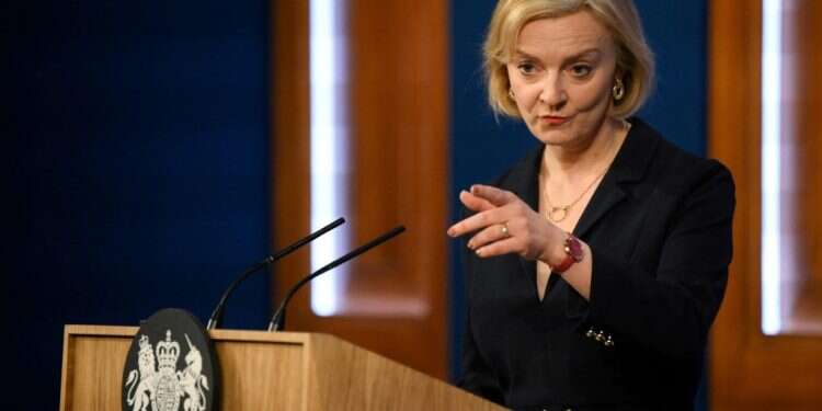 ליז טראס. צילום: רויטרס