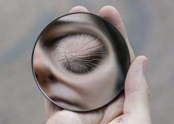 איש קש: המערכה הרבנית נגד הפוסטמודרניזם מעוררת מבוכה