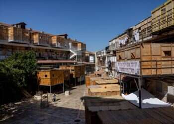 צלקות של אהבה