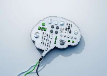 מחקרים: בזמן מחלה דווקא המוח ולא מערכת החיסון – אומר לגוף "עצור"