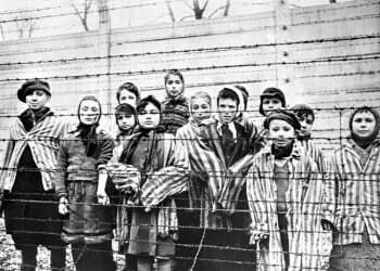 מנהל בית החולים הפסיכיאטרי שתוהה מי בכלל נתן לו סמכות לאשפז בכפייה