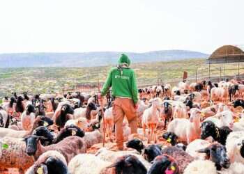 כך הפכה חבורת צעירים לכוח ההגנה של החקלאים ביו"ש