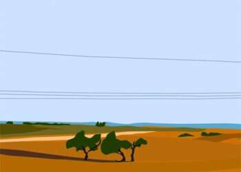 תימהונות צבאית: סיפורו של חובש קרבי