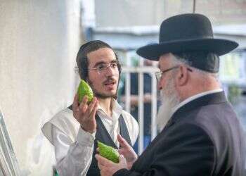 "חרדים שמצביעים למפלגות אחרות צריכים לבדוק מה העקרונות שלהם"