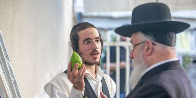 "חרדים שמצביעים למפלגות אחרות צריכים לבדוק מה העקרונות שלהם"