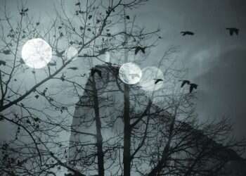 "ויש לילה שהנשמות יוצאות מן הקברות": על אופיו המסתורי של הושענא רבה