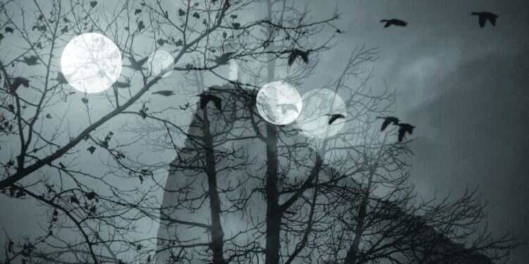 אורי גרשוני,  "ויש לילה שהנשמות יוצאות מן הקברות": על אופיו המסתורי של הושענא רבה