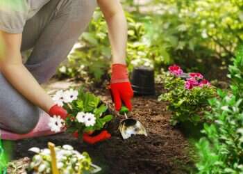 אחרי החגים: איך להתמודד עם מעברים ושינויים?