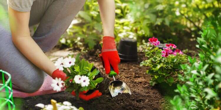 ציפייה למשהו חדש. צילום: שאטרסטוק אחרי החגים: איך להתמודד עם מעברים ושינויים?