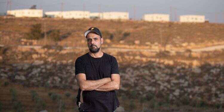 טובי. צילום: שריה דיאמנט