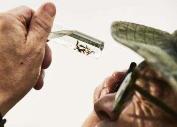 "אנחנו מאבדים את היצורים שהופכים את החיים לבעלי ערך"