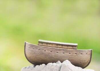 תיבת נוח נח