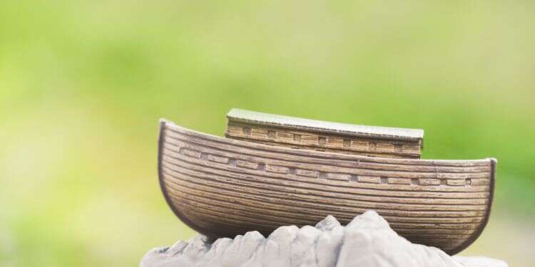 צילום: שאטרסטוק תיבת נוח נח