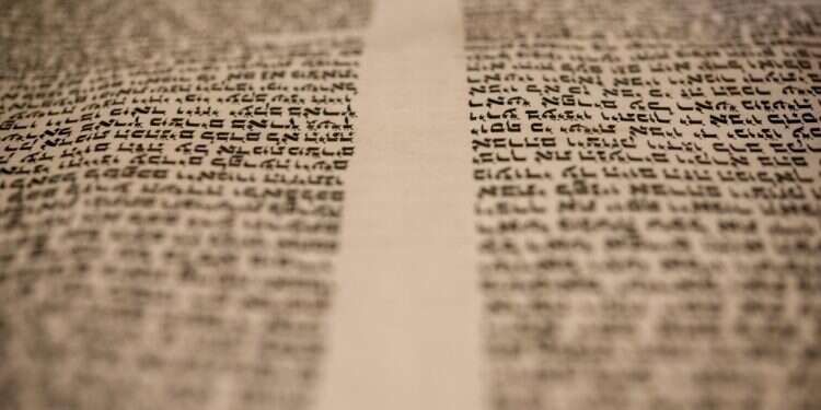 מה שכתוב בתורה ומה מצופה שיהיה כתוב בה. צילום: שאטרסטוק "מנהיג טוב מעמיד לו חסידים, מנהיג גדול מעמיד מנהיגים"