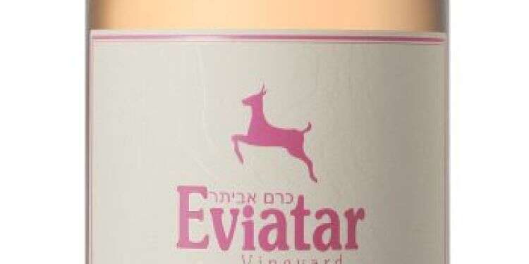 שבעה יינות לארוחות החג