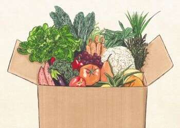 חרדת השכחה היא כל כך קיומית שהיא גדולה יותר אפילו מחרדת המוות