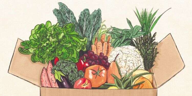 איור: שרון ארדיטי חרדת השכחה היא כל כך קיומית שהיא גדולה יותר אפילו מחרדת המוות