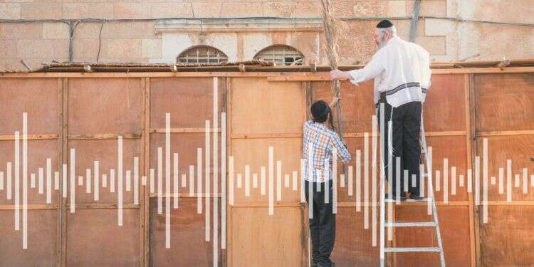 צילום: נתי שוחט - פלאש 90 "בצל כנפיך": ההסכת שמעניק פשר לחג הסוכות