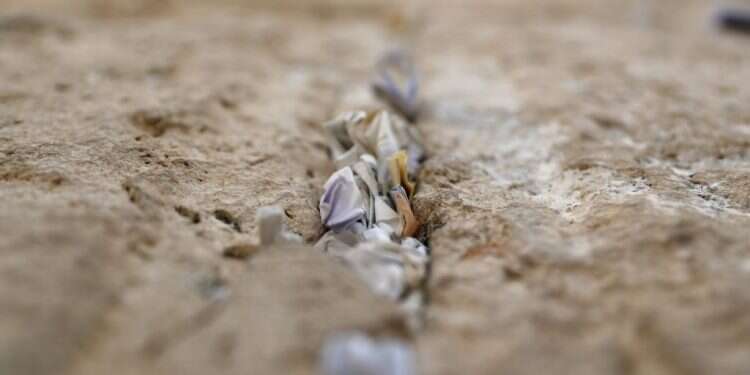 המארגנים ביטלו השתתפות מרצה שכתב על הרב טאו – וגבאי ביה"כ סירב לארח את הכנס