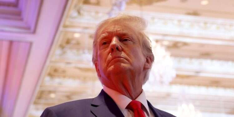 דונלד טראמפ. צילום: AFP "טראמפטי דאמפטי": בימין האמריקני קוראים לזרוק את טראמפ מהמפלגה