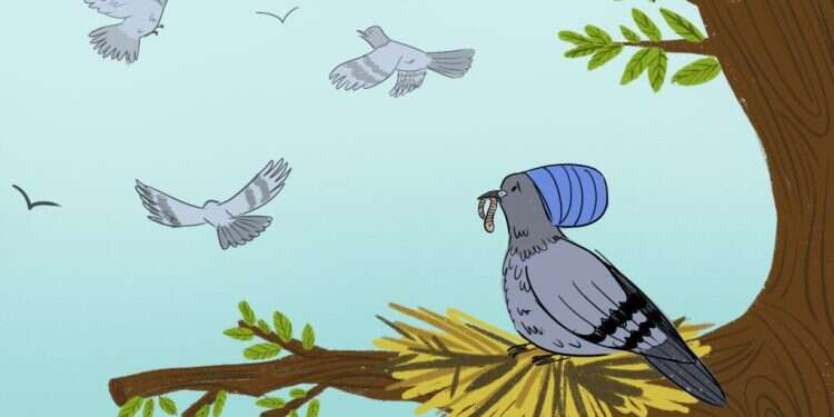 איור: רעות בורץ איור: רעות בורץ