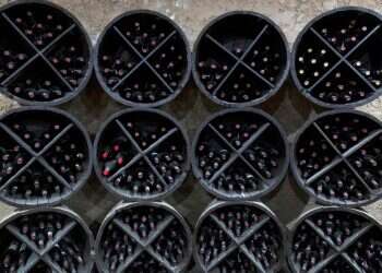 היין האדום המוכר בעולם: מה שאתם צריכים לדעת על קברנה סוביניון