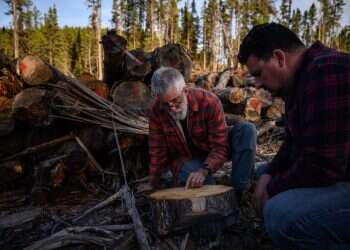 מאבקים להצלת בעל החיים האצילי שעל סף הכחדה: "כעת תורנו לעזור להם"