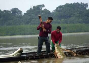 הדג הנדיר באמזונס שהפך לסמל אופנה ברחובות ניו יורק