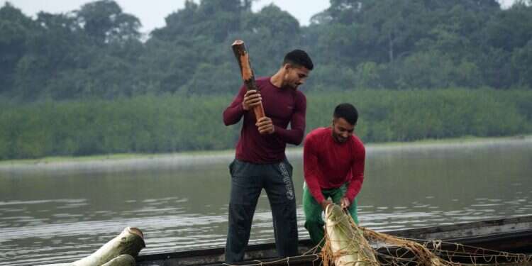 הדג הנדיר באמזונס שהפך לסמל אופנה ברחובות ניו יורק