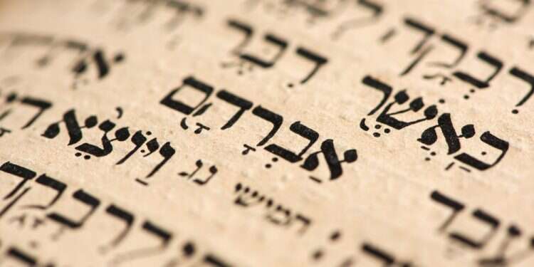 פרשה בדקה: מי אתה אברהם אבינו?