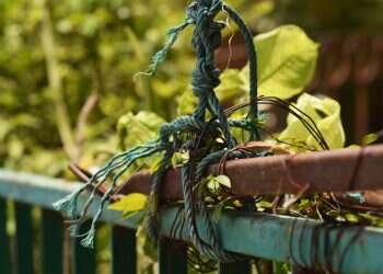 "החזרה אל האין" בתורת המגיד ממזריטש יכולה להיות התנתקות מהמסכים