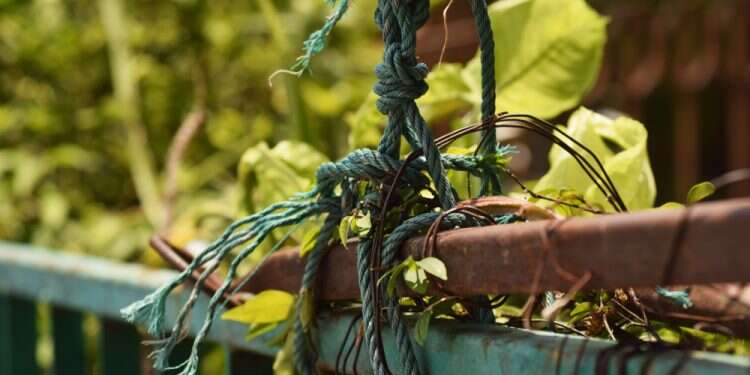 צילום: שאטרסטוק "החזרה אל האין" בתורת המגיד ממזריטש יכולה להיות התנתקות מהמסכים