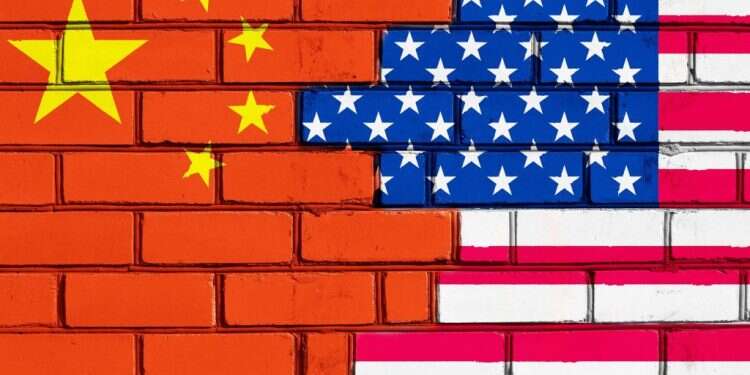 צילום: שאטרסטוק צילום: שאטרסטוק