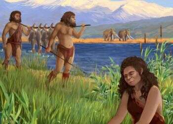 פתרון לוויכוח מדעי עתיק: מה בישל האדם הקדמון לפני 780 אלף שנים?