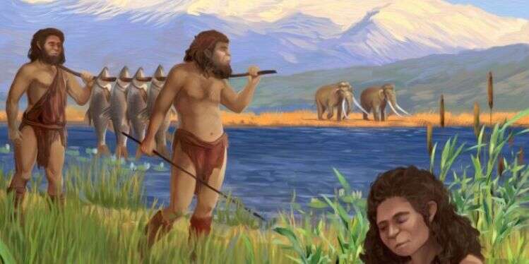 איור שנעשה ע״י אלה מרו (Ella Maru) . האיור מתאר ניצול של בינית גדולת ראש (קרפיוניים) בסביבת החולה הקדומה פתרון לוויכוח מדעי עתיק: מה בישל האדם הקדמון לפני 780 אלף שנים?