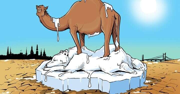 ועידת האקלים במצרים. מתוך אתר העיתון עַרַבִּי 21 אשנב לערב