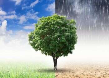 שלמה יעקובסון: “רק אינטרסים כלכליים יגרמו לאנושות לאמץ אנרגיה ירוקה”