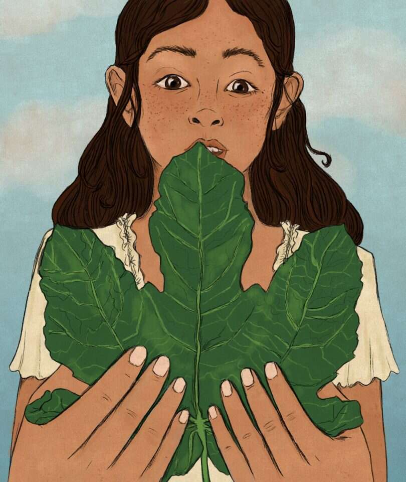 איור: שרון ארדיטי